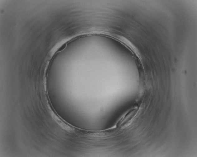 X0000077401388200611032015