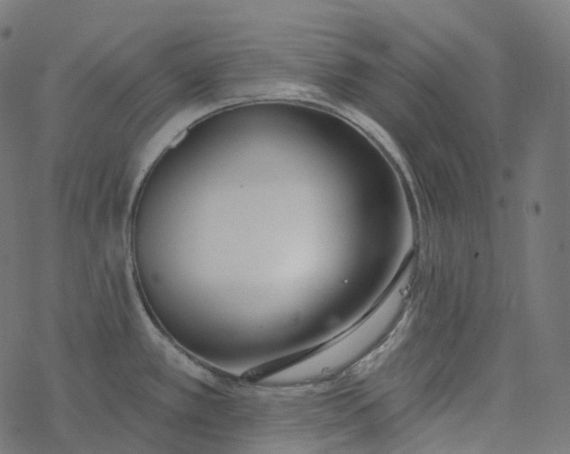 X0000077401389200611032015