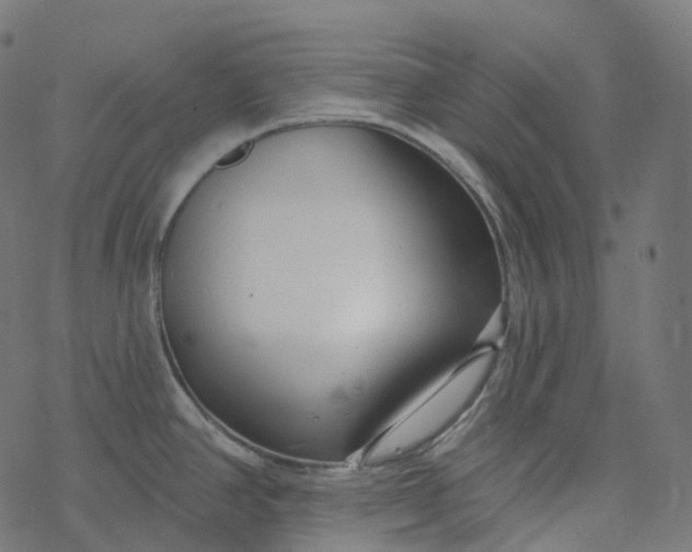 X0000077401390200611032015