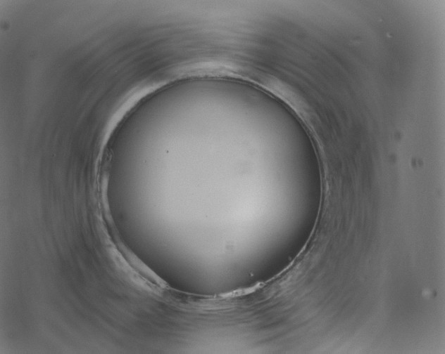 X0000077401392200611032015