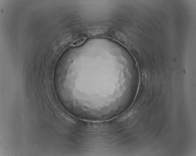 X0000077401393200611032015