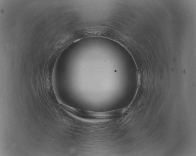 X0000077401394200611032015