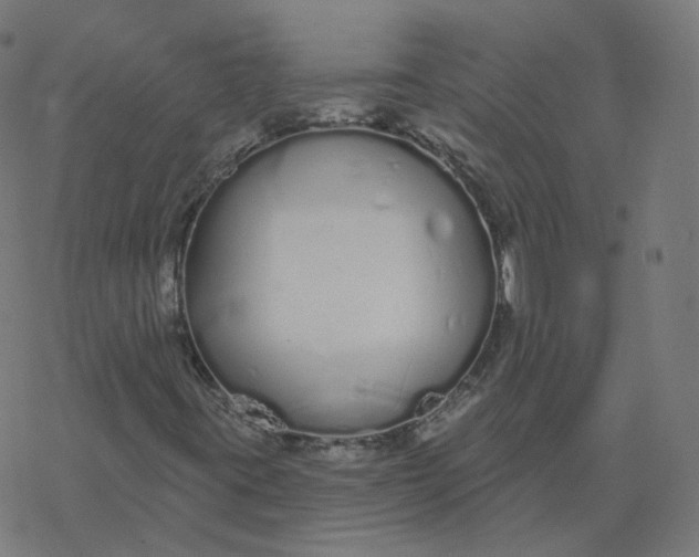 X0000077401395200611032015