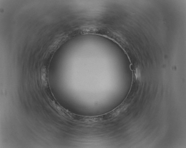 X0000077401396200611032015