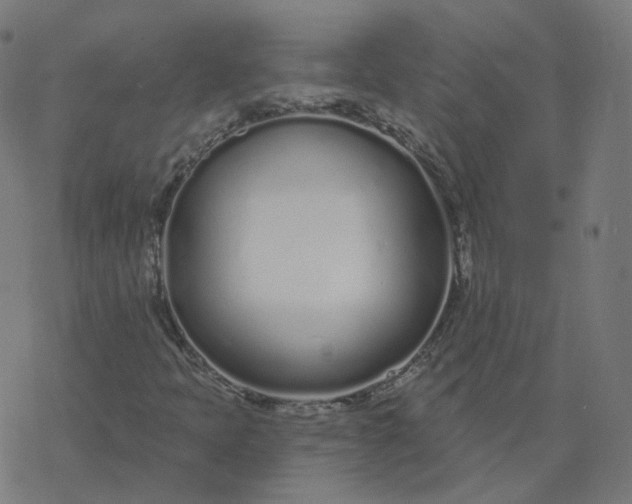 X0000077401397200611032015