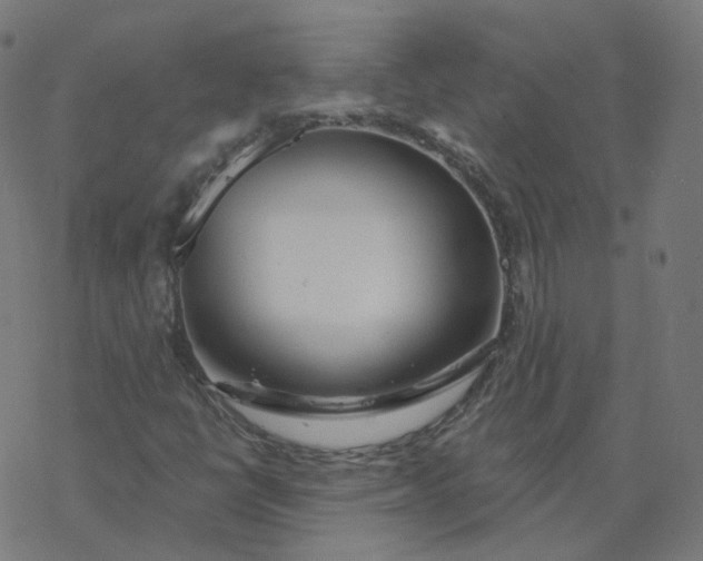 X0000077401398200611032015