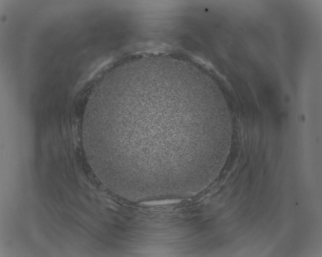 X0000077401399200611032015