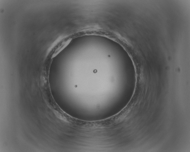 X0000077401400200611032015