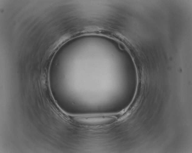 X0000077401401200611032015