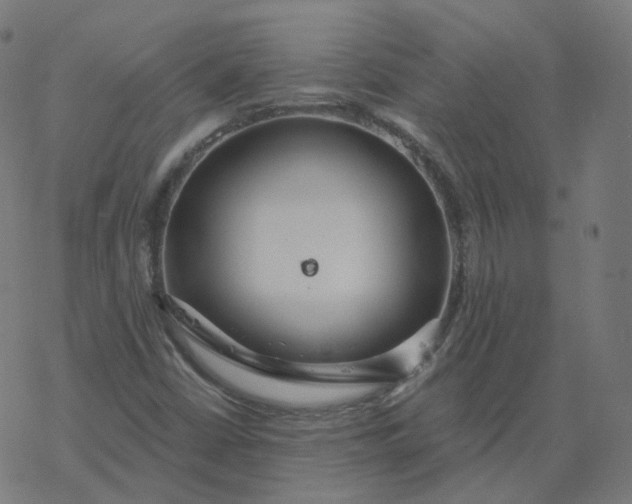 X0000077401402200611032015