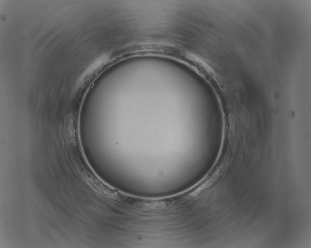 X0000077401403200611032015