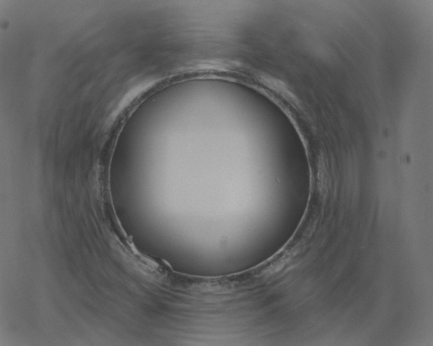 X0000077401404200611032015