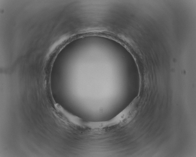 X0000077401406200611032015