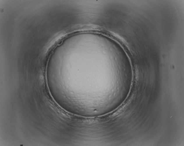 X0000077401407200611032015