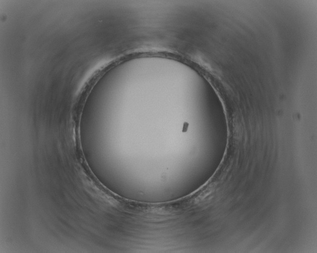 X0000077401408200611032015