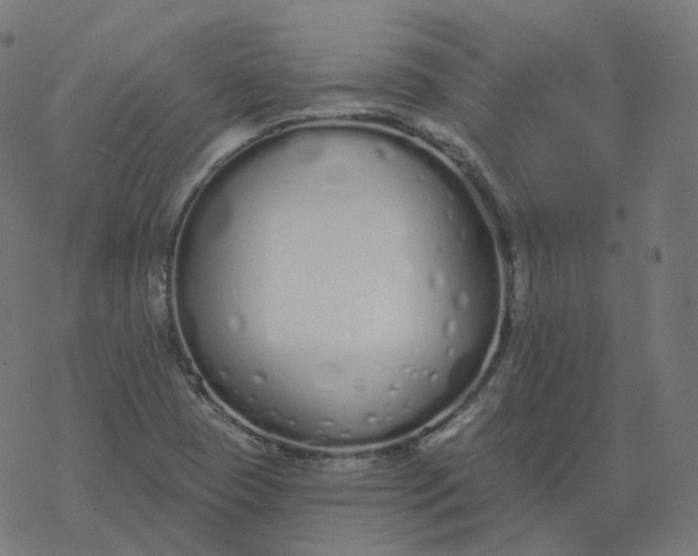 X0000077401409200611032015