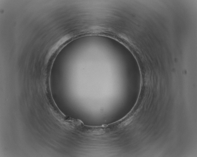 X0000077401410200611032015