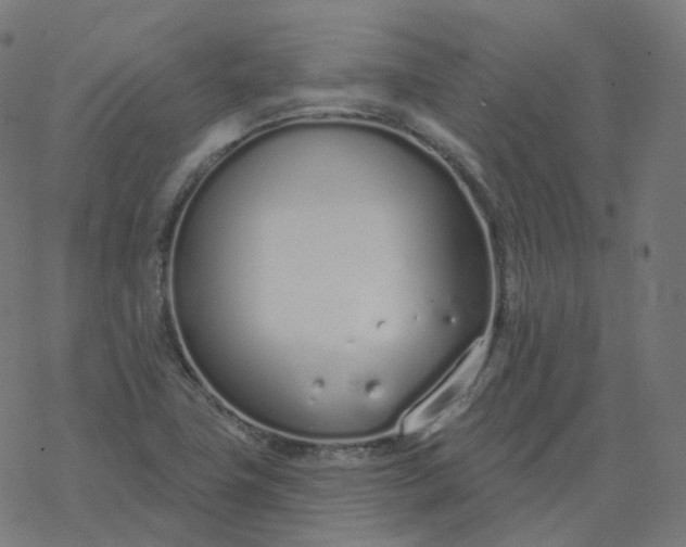 X0000077401411200611032015