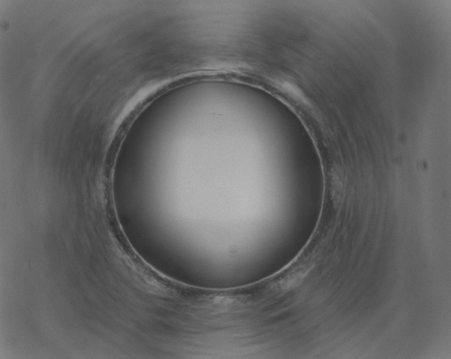 X0000077401412200611032015