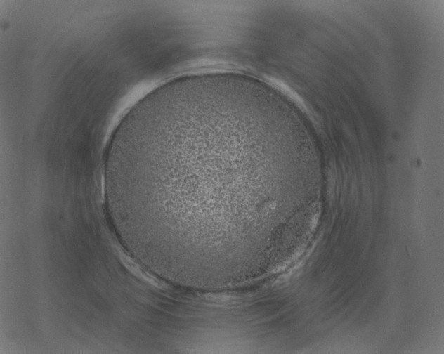 X0000077401413200611032015