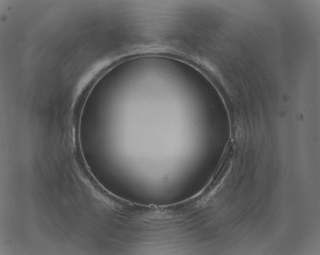 X0000077401414200611032015