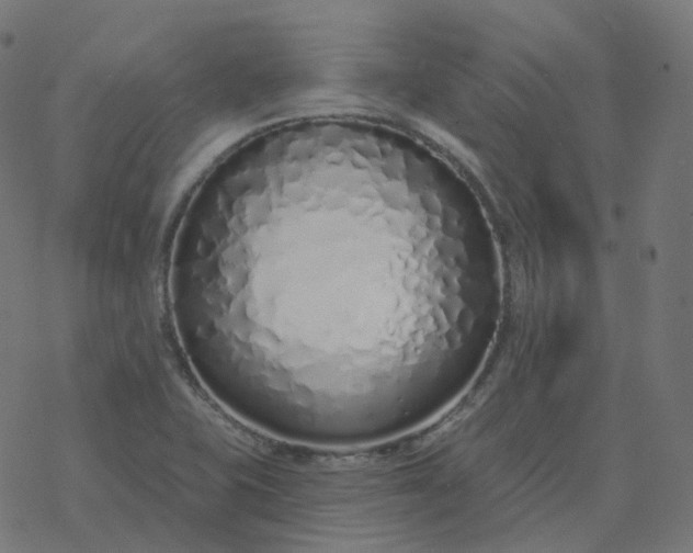 X0000077401415200611032015