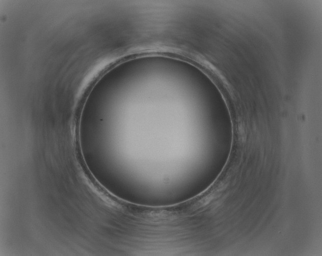 X0000077401416200611032015