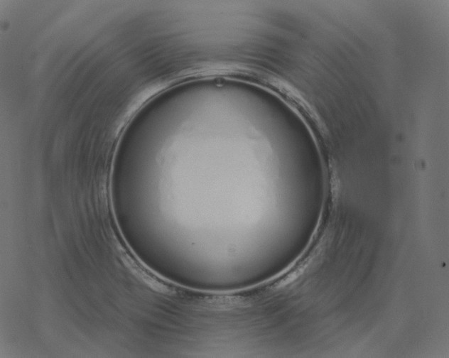 X0000077401417200611032015