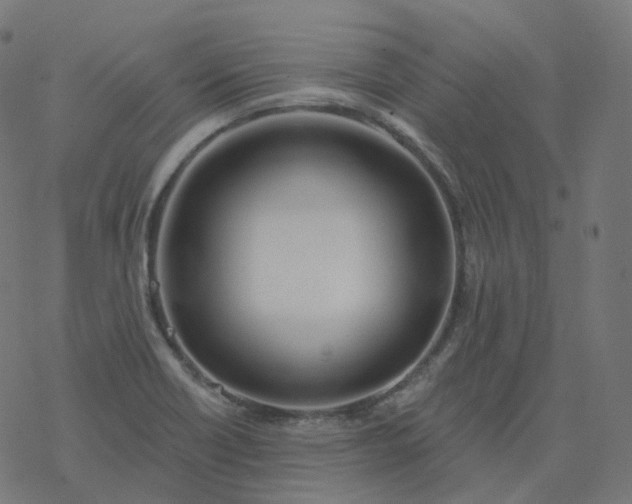 X0000077401418200611032015