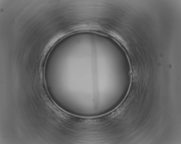 X0000077401419200611032015