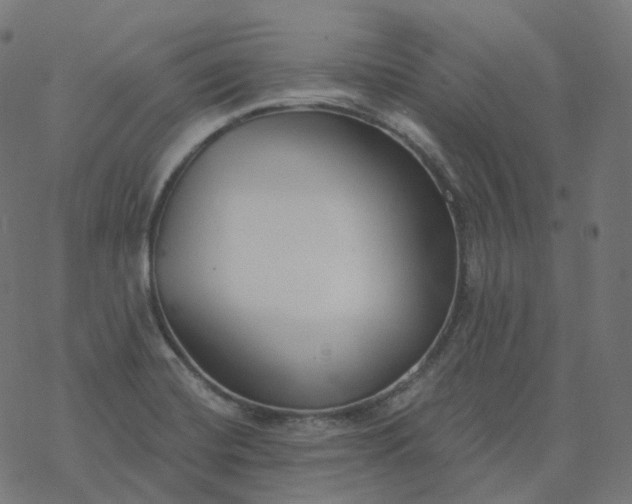 X0000077401420200611032015