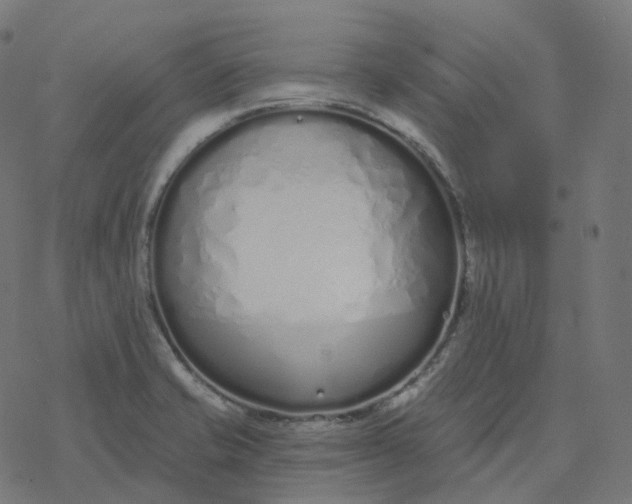 X0000077401421200611032015