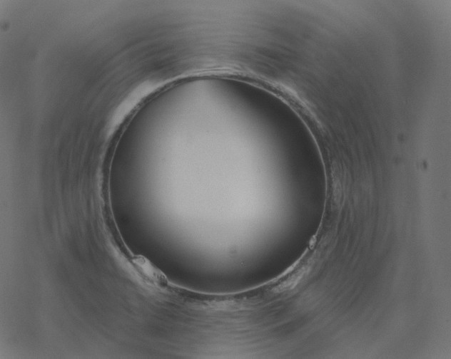 X0000077401422200611032015