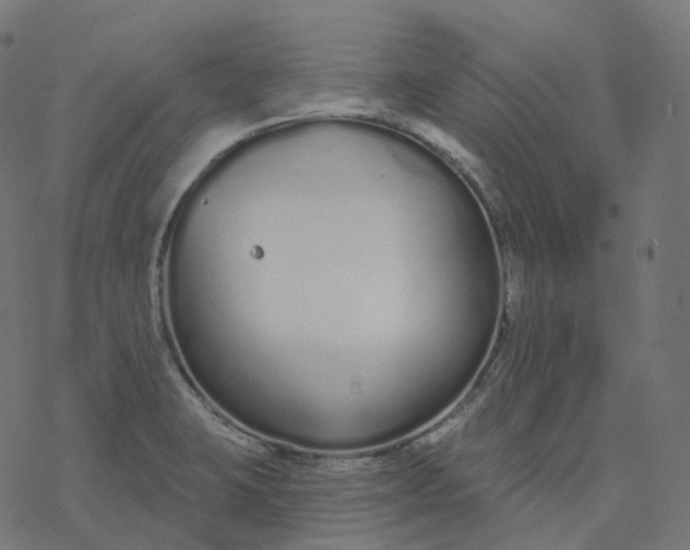 X0000077401423200611032015