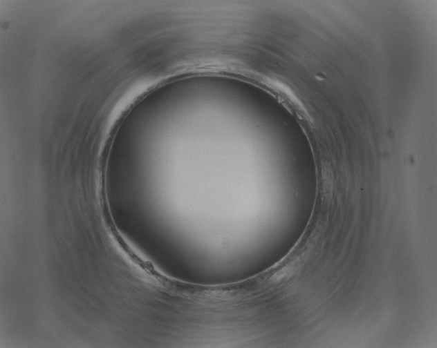 X0000077401424200611032015