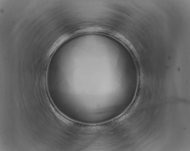 X0000077401425200611032015