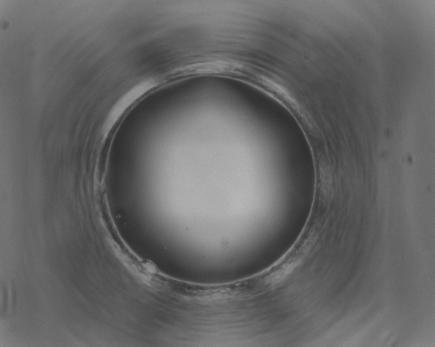 X0000077401426200611032015