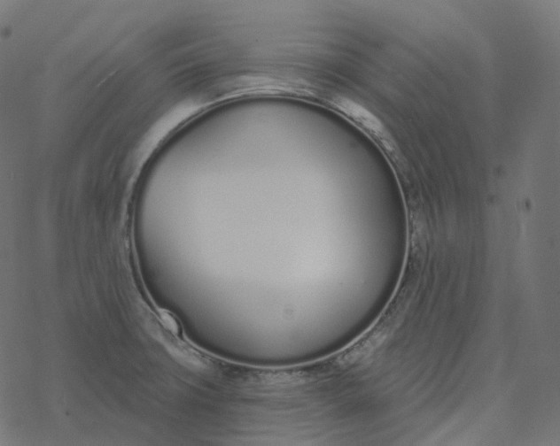 X0000077401427200611032015