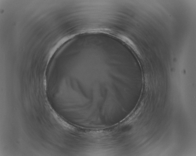 X0000077401428200611032015