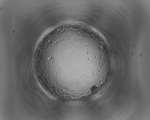 X0000077401429200611032015