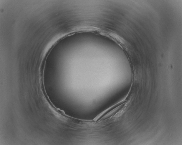 X0000077401430200611032015