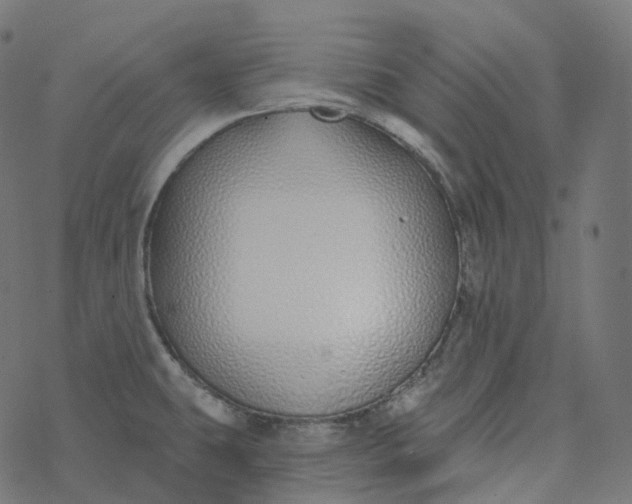 X0000077401431200611032015