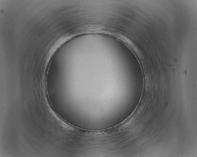 X0000077401432200611032015