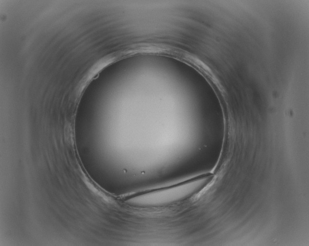 X0000077401433200611032015