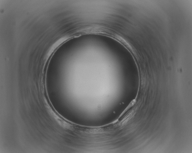 X0000077401434200611032015