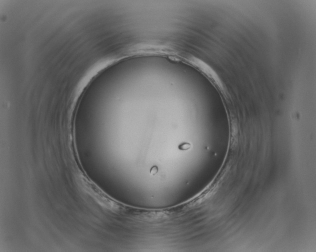 X0000077401435200611032015