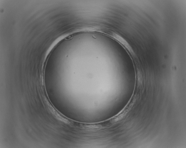 X0000077401436200611032015