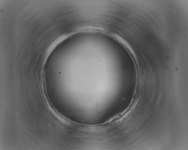 X0000077401437200611032015