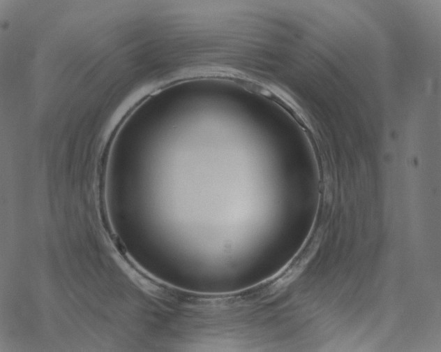 X0000077401438200611032015