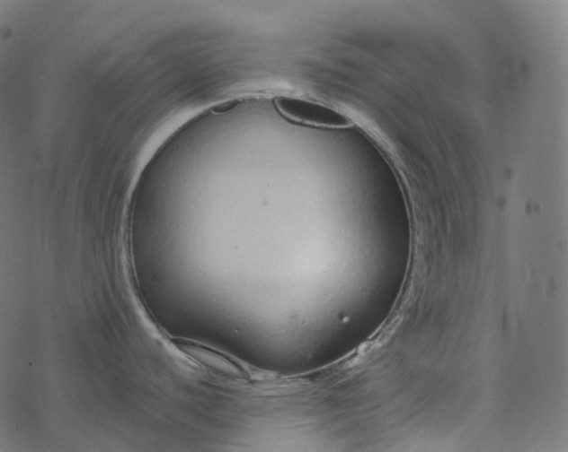 X0000077401440200611032015